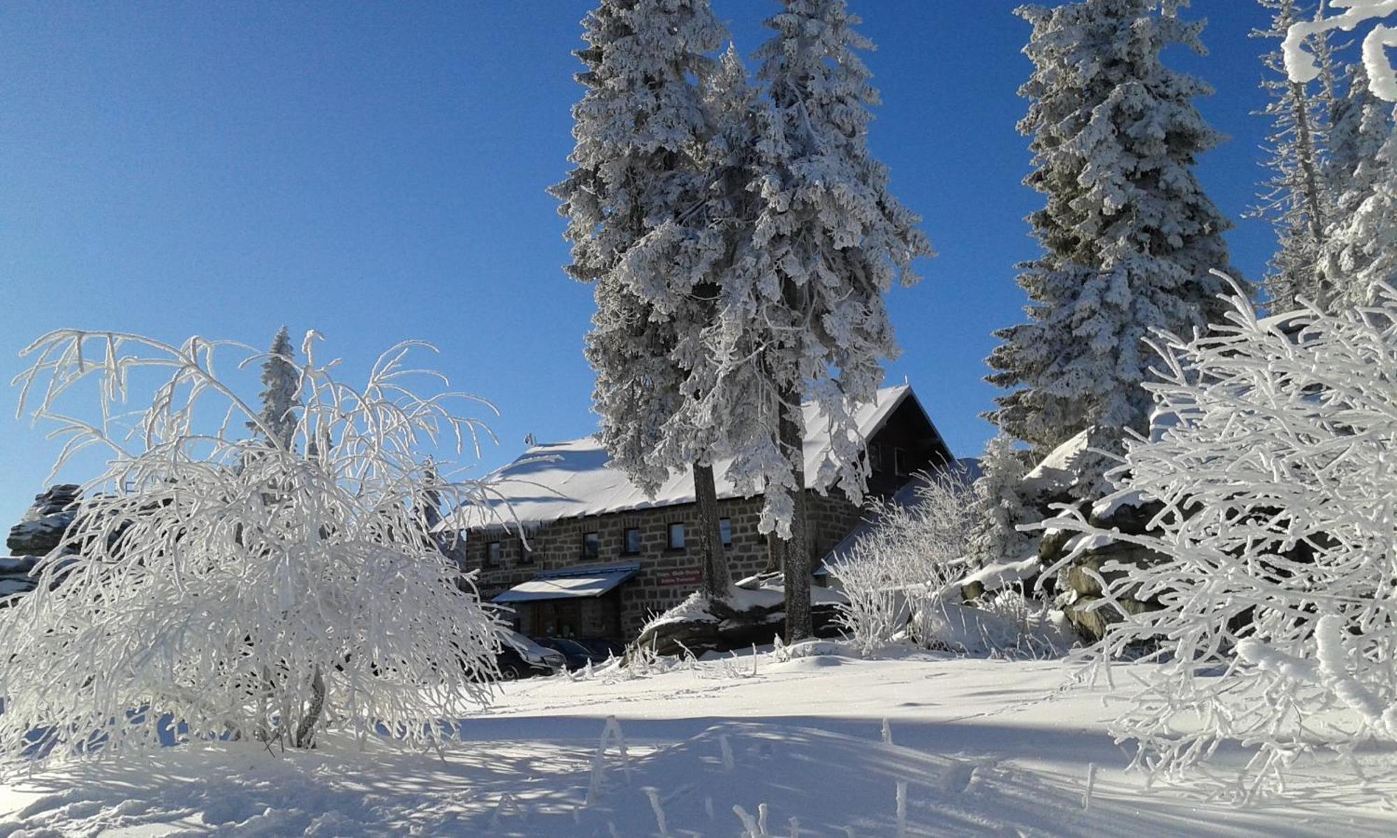 Ferienwohnung Bayerwaldblick Jandelsbrunn Exterior foto